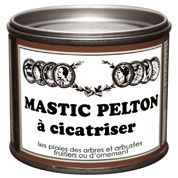 Mastic  Cicatriser